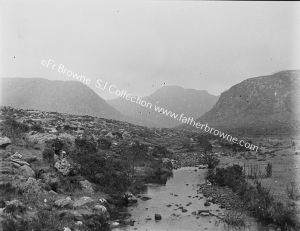 THE POISONED GLEN